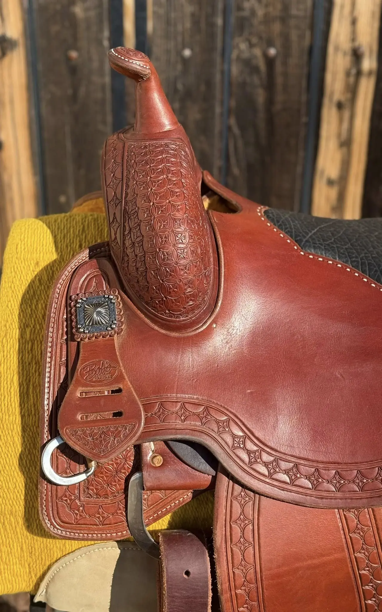lady cowhorse bobs custom 15 5 b horn