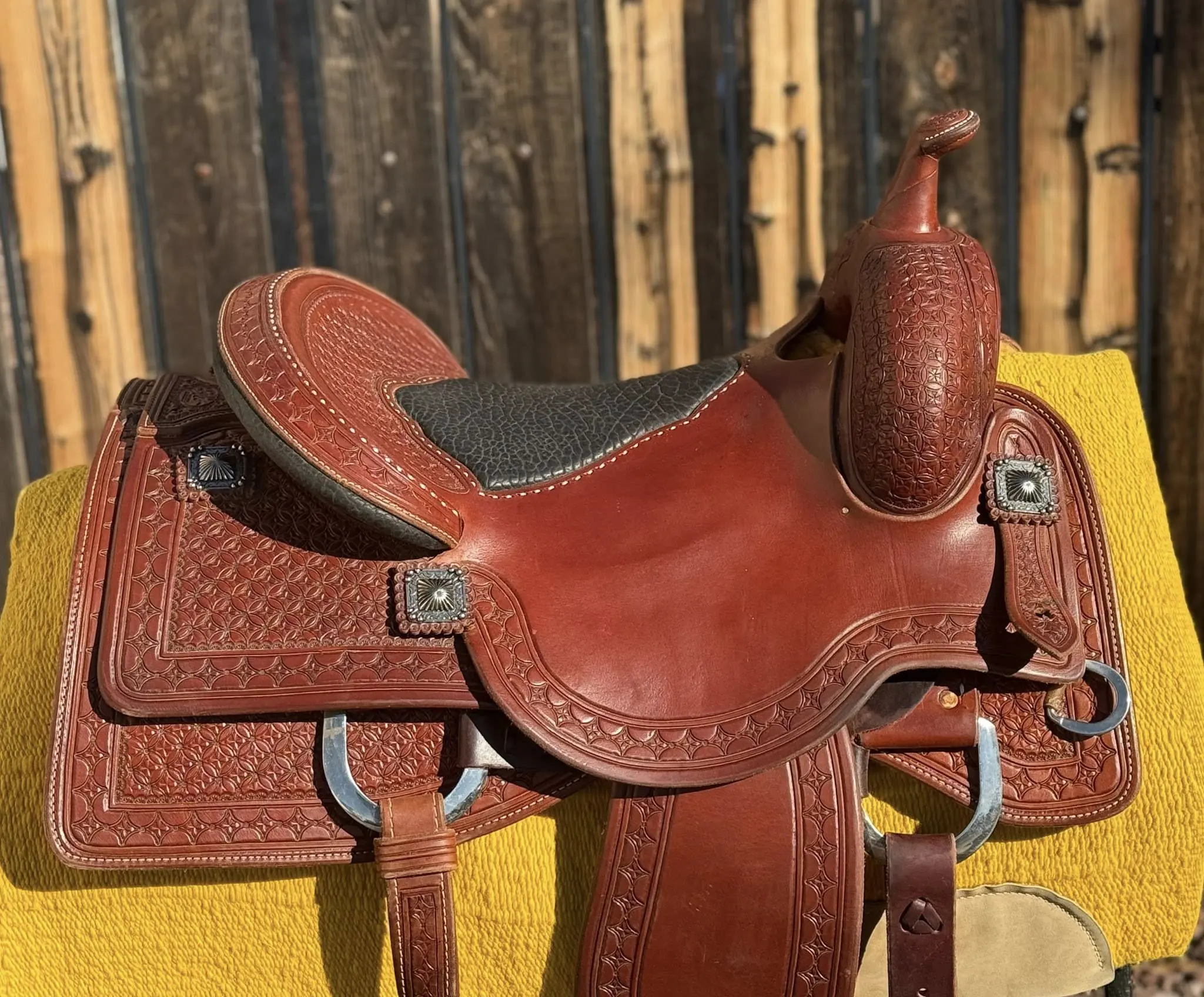 lady cowhorse bobs custom 15 5 b seat top