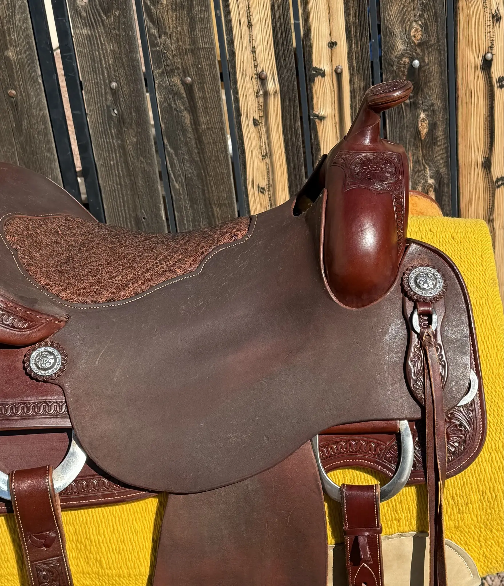 superior ranch rider 16 5 nevada horn detail